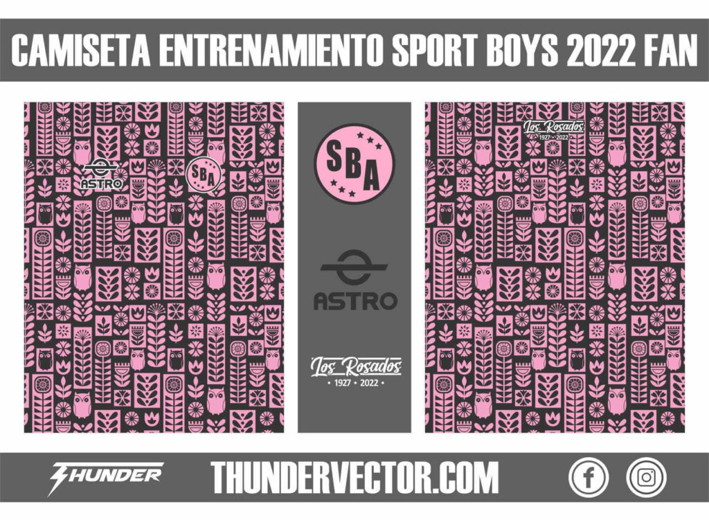 Camiseta Entrenamiento Sport Boys 2022 Fan