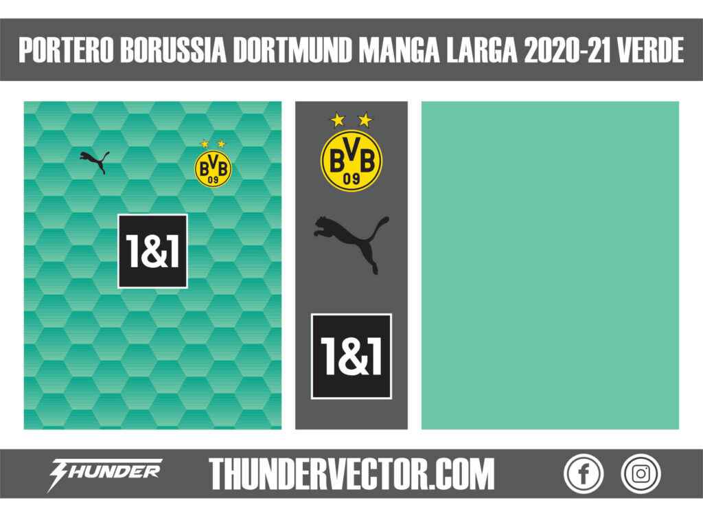 Portero Borussia Dortmund Manga Larga 2020-21 Verde